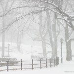 Snowstorm Central Park - New York